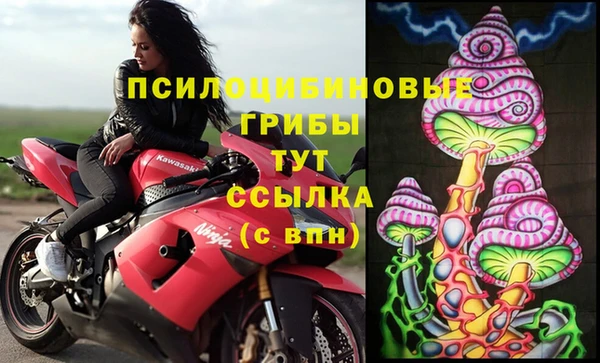 твердый Верхний Тагил