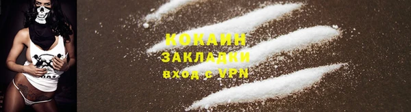 тгк Верея