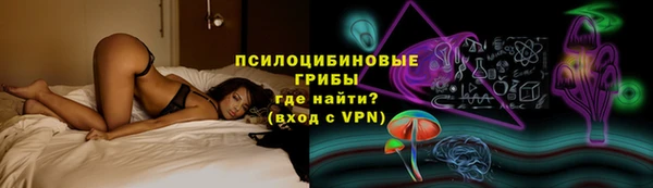 тгк Верея