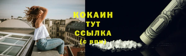 твердый Верхний Тагил