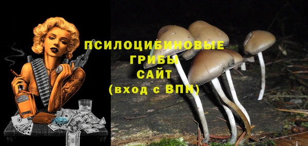 тгк Верея