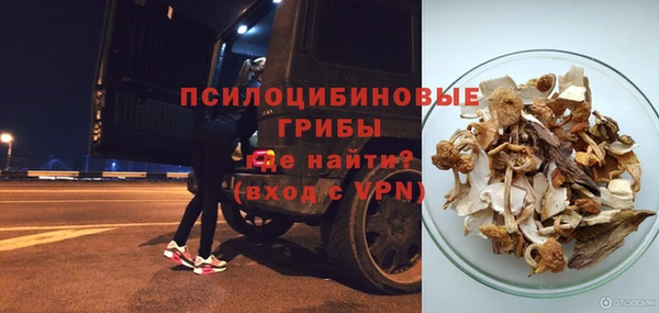 твердый Верхний Тагил