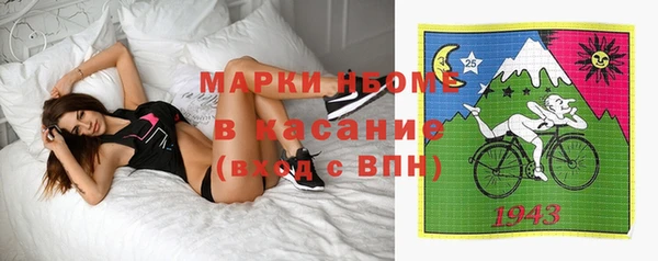 твердый Верхний Тагил