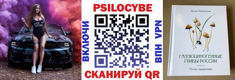 Галлюциногенные грибы Psilocybine cubensis  Купить где  Тында 